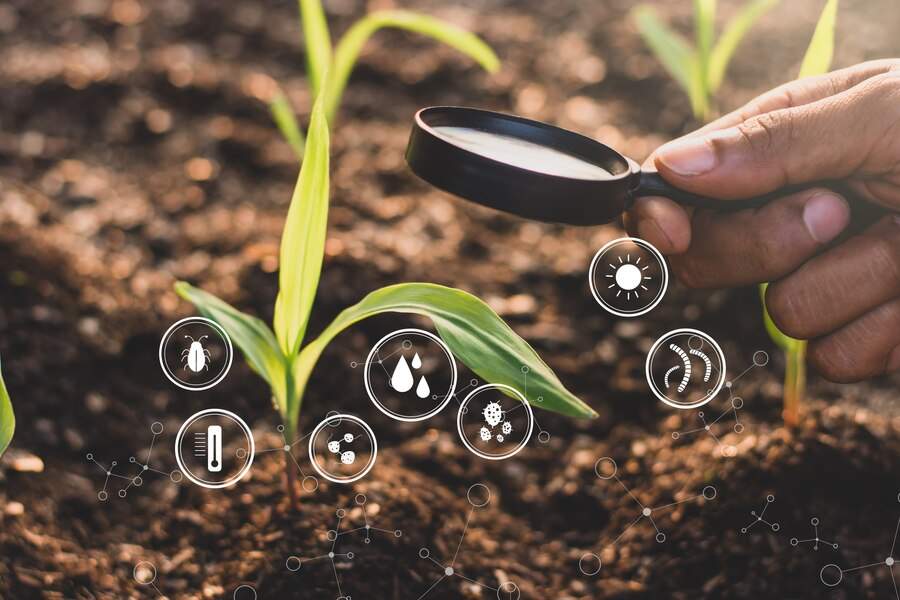 man-s-hand-is-using-magnifying-glass-illuminate-seedling-corn-technology-icons-are-all-around_38663-879